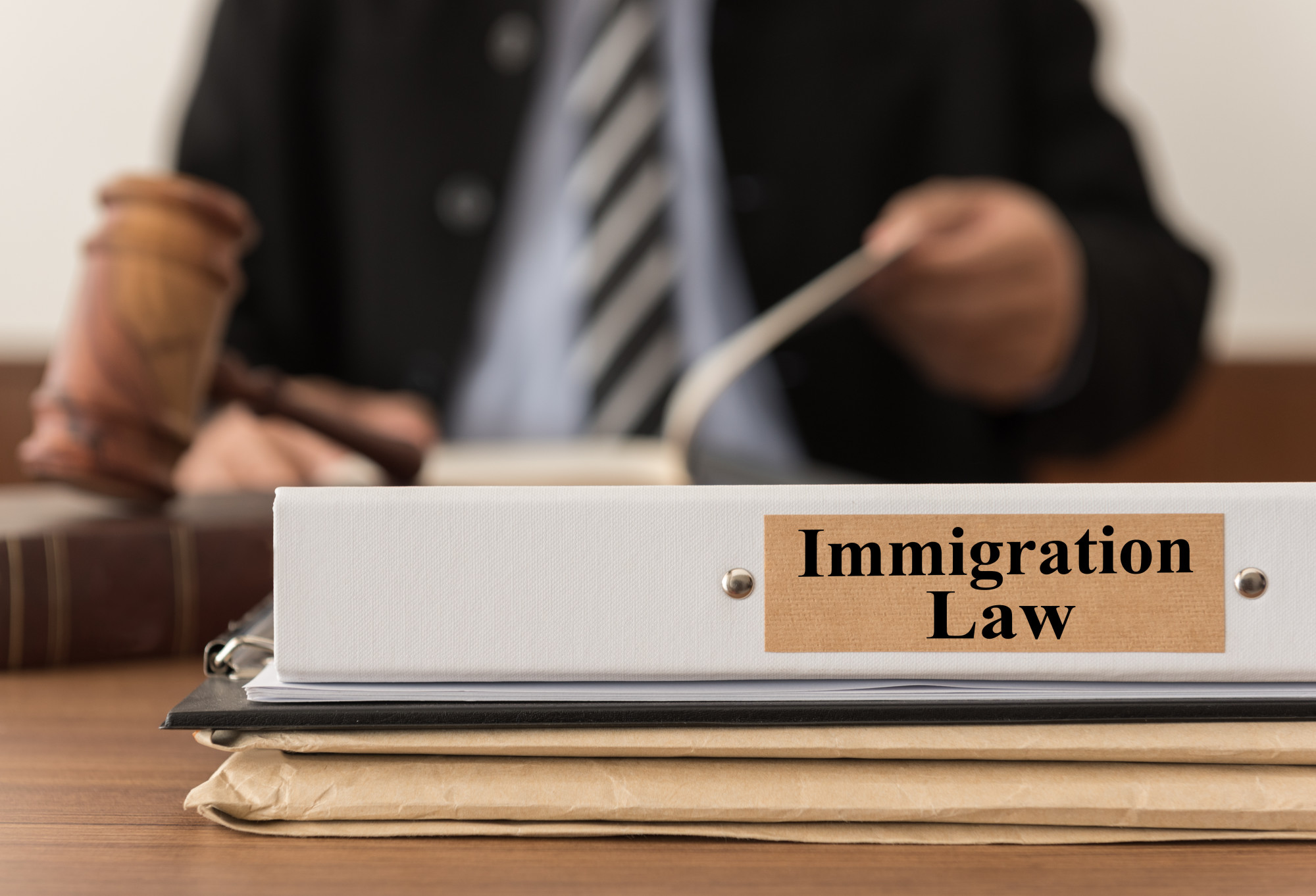 choose an immigration lawyer